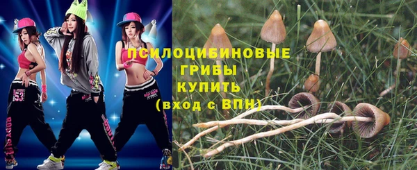 ALPHA PVP Алексеевка