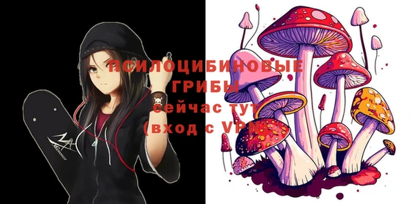 соль курить ск Алексин