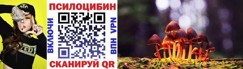 Псилоцибиновые грибы мицелий  кракен   Серафимович 