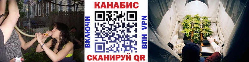 Бошки марихуана Amnesia  Серафимович 